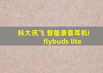 科大讯飞 智能录音耳机iflybuds lite